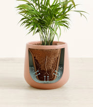 Load image into Gallery viewer, Calm Rose stand:all