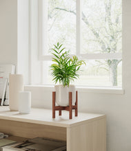 Load image into Gallery viewer, Snowdrift White stand:walnut