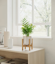 Load image into Gallery viewer, Snowdrift White stand:bamboo