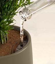 Lade das Bild in den Galerie-Viewer, Olive Branch stand:all