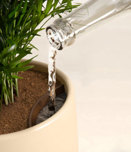 Lade das Bild in den Galerie-Viewer, Tiger Lily stand:all