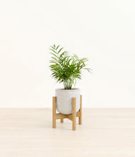 Load image into Gallery viewer, Hammered Ivory stand:bamboo