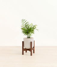 Load image into Gallery viewer, Snowdrift White stand:walnut