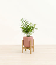 Load image into Gallery viewer, Striped Rose Pink stand:bamboo