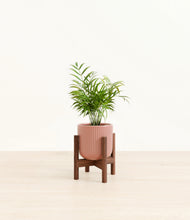 Load image into Gallery viewer, Striped Rose Pink stand:walnut