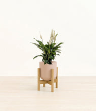 Lade das Bild in den Galerie-Viewer, Sandy Pink stand:bamboo