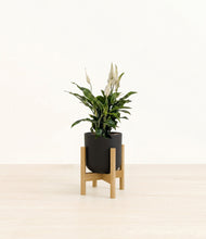 Lade das Bild in den Galerie-Viewer, Stone Black stand:bamboo