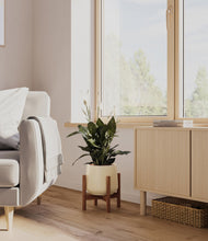 Lade das Bild in den Galerie-Viewer, Almond Green stand:walnut