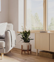 Lade das Bild in den Galerie-Viewer, Eternal Gray stand:walnut