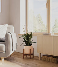 Lade das Bild in den Galerie-Viewer, Gentle Pink stand:walnut