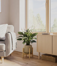 Load image into Gallery viewer, Olive stand:bamboo