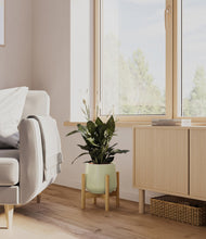 Lade das Bild in den Galerie-Viewer, Turquoise stand:bamboo