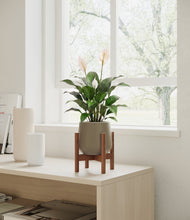 Lade das Bild in den Galerie-Viewer, Olive stand:dark