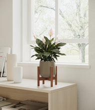 Load image into Gallery viewer, Olive stand:walnut