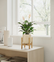 Lade das Bild in den Galerie-Viewer, Almond Green stand:light