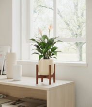 Lade das Bild in den Galerie-Viewer, Almond Green stand:dark