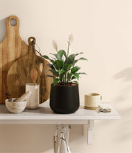 Lade das Bild in den Galerie-Viewer, Black