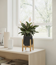 Load image into Gallery viewer, Black stand:bamboo