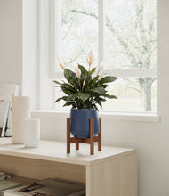 Load image into Gallery viewer, Deep Navy stand:walnut