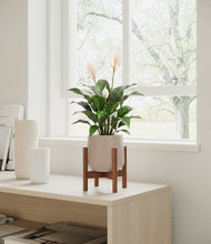 Lade das Bild in den Galerie-Viewer, Eternal Gray stand:dark