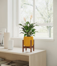Lade das Bild in den Galerie-Viewer, Mustard stand:dark