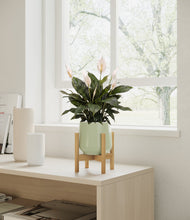 Load image into Gallery viewer, Turquoise stand:bamboo