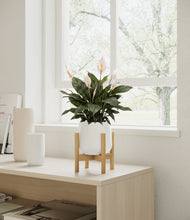 Load image into Gallery viewer, White stand:bamboo