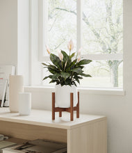 Load image into Gallery viewer, White stand:walnut