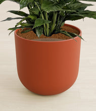 Lade das Bild in den Galerie-Viewer, Earth Red stand:all