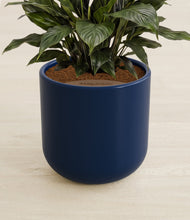 Load image into Gallery viewer, Twilight Blue stand:all