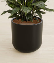 Load image into Gallery viewer, Stone Black stand:all