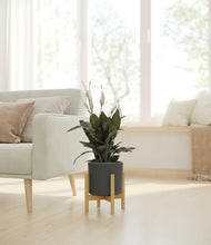 Load image into Gallery viewer, Dark Olive stand:bamboo