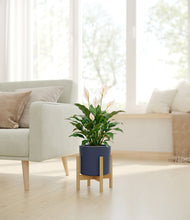 Load image into Gallery viewer, Deep Navy stand:light