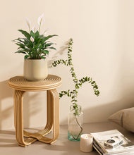 Load image into Gallery viewer, Almond Green