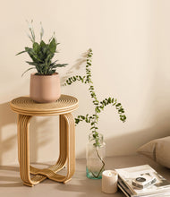 Lade das Bild in den Galerie-Viewer, Gentle Pink