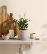 Lade das Bild in den Galerie-Viewer, Eternal Gray
