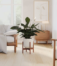 Lade das Bild in den Galerie-Viewer, Natural Bamboo stand:walnut