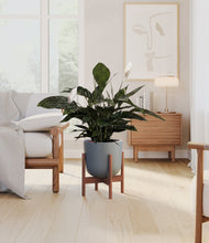 Lade das Bild in den Galerie-Viewer, Iron Gray stand:walnut