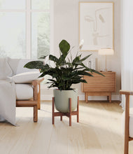 Lade das Bild in den Galerie-Viewer, Sage Green stand:walnut