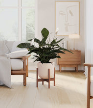 Lade das Bild in den Galerie-Viewer, Sandy Pink stand:walnut