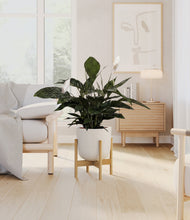 Lade das Bild in den Galerie-Viewer, Natural Bamboo stand:bamboo