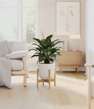 Load image into Gallery viewer, Natural Bamboo stand:light