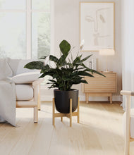 Lade das Bild in den Galerie-Viewer, Stone Black stand:bamboo