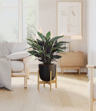 Load image into Gallery viewer, Stone Black stand:bamboo