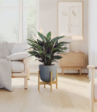 Load image into Gallery viewer, Sage Green stand:bamboo