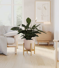 Lade das Bild in den Galerie-Viewer, Sandy Pink stand:bamboo