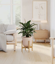 Load image into Gallery viewer, Sandy Pink stand:light