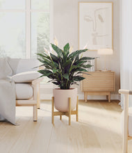 Load image into Gallery viewer, Sandy Pink stand:bamboo