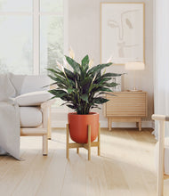 Load image into Gallery viewer, Earth Red stand:bamboo
