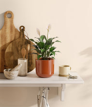 Charger l'image dans la galerie, Glossy Red